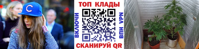 Как найти наркотики Новосиль ГАШ  Alpha PVP  КОКАИН  Мефедрон  Амфетамин  МАРИХУАНА 